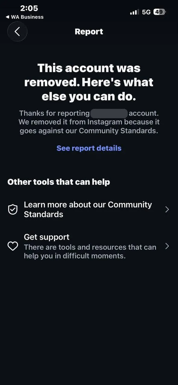Reported Instagram account removed (names hidden)